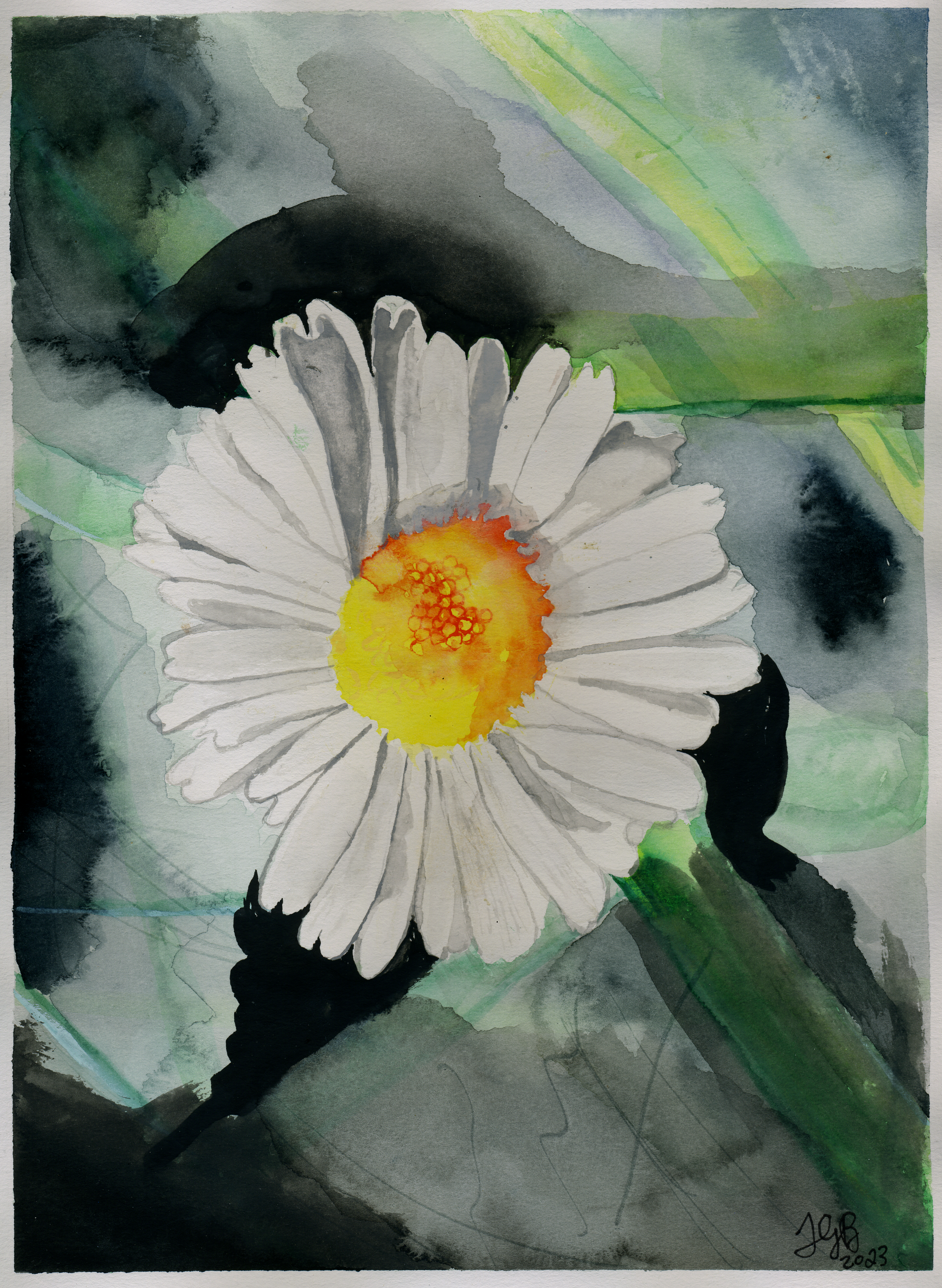 Daisy watercolor painting